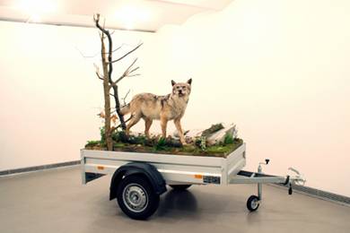 Mobile-Wilderness-Unit-web.jpg