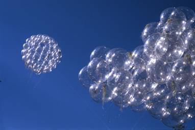 Flying-Garden-web.jpg
